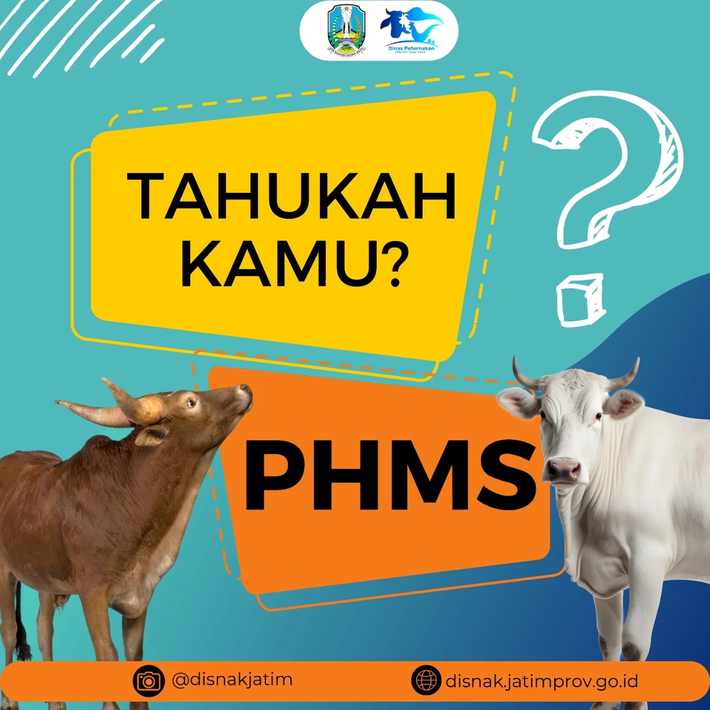 phms 2024