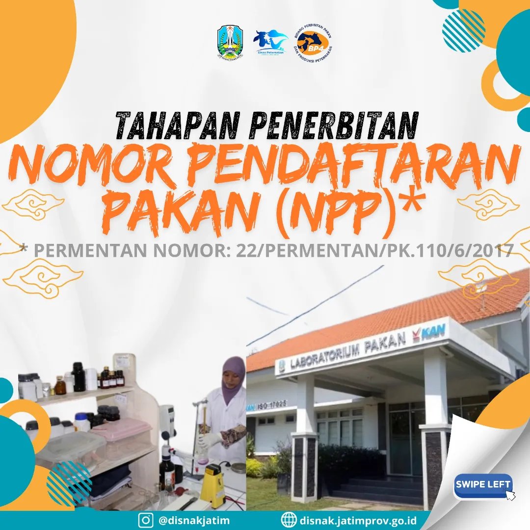 NPP 2024