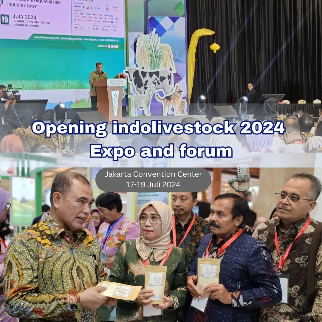 indolivestok 2024