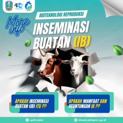 Apa Sih Inseminasi Buatan itu? Yuk Simak Penjelasannya !