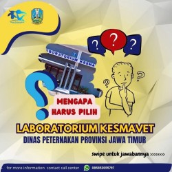 lab kesmavet 2024