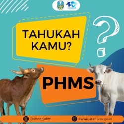 phms 2024