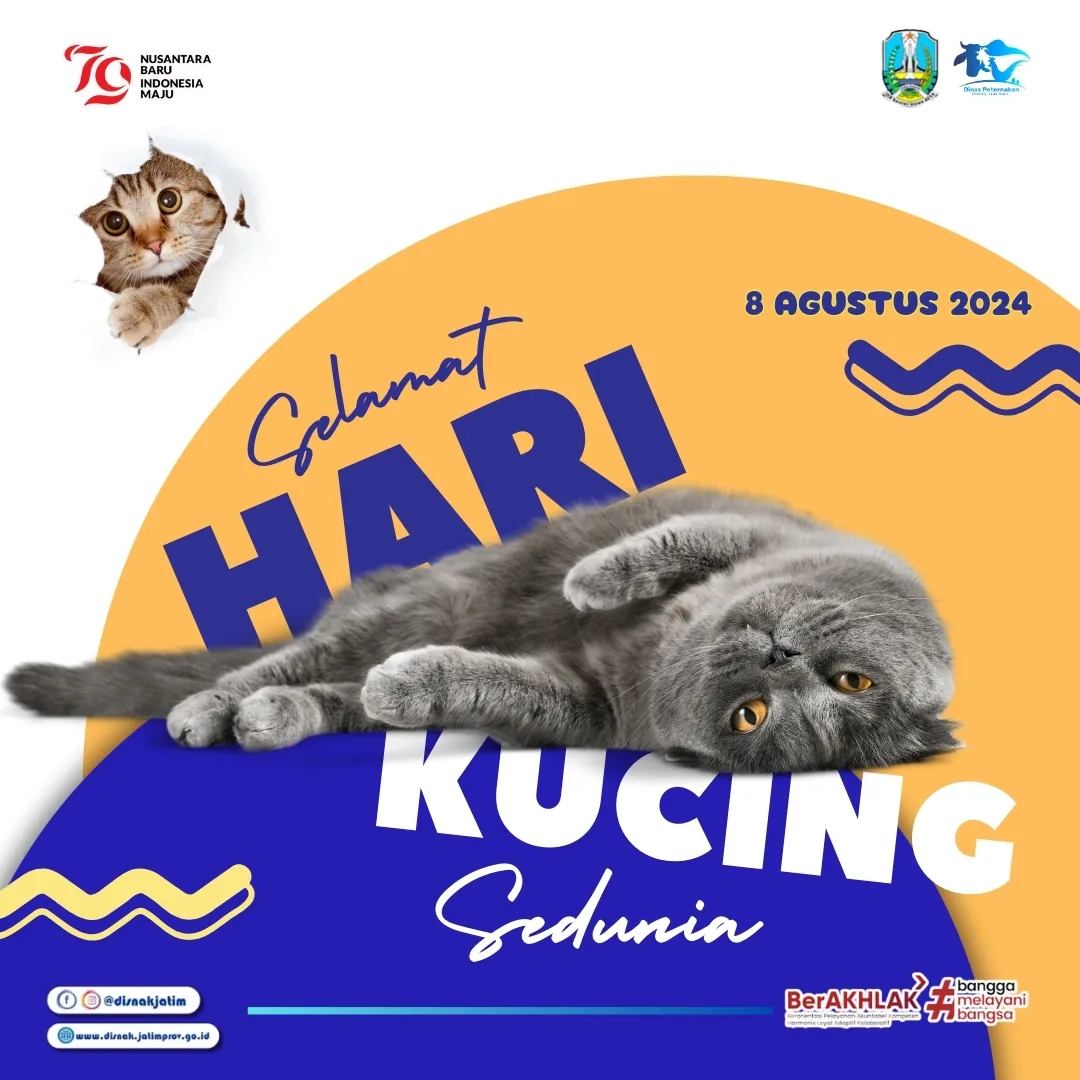 Selamat Hari Kucing Sedunia Tahun 2024