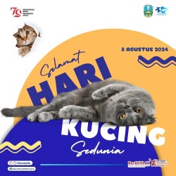 Selamat Hari Kucing Sedunia Tahun 2024
