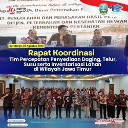 percepatan penyediaan telur daging dan susu 2024
