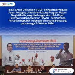 FGD peningkatan produksi ayam pedaging oktober