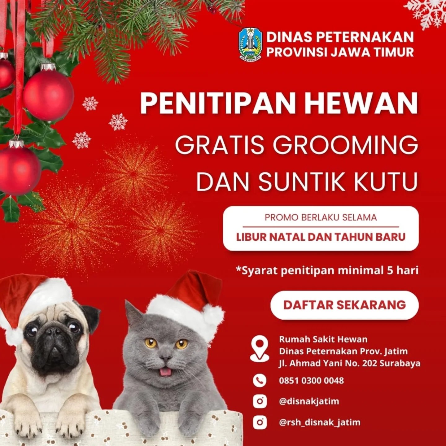 PENITIPAN HEWAN NATAL 2024