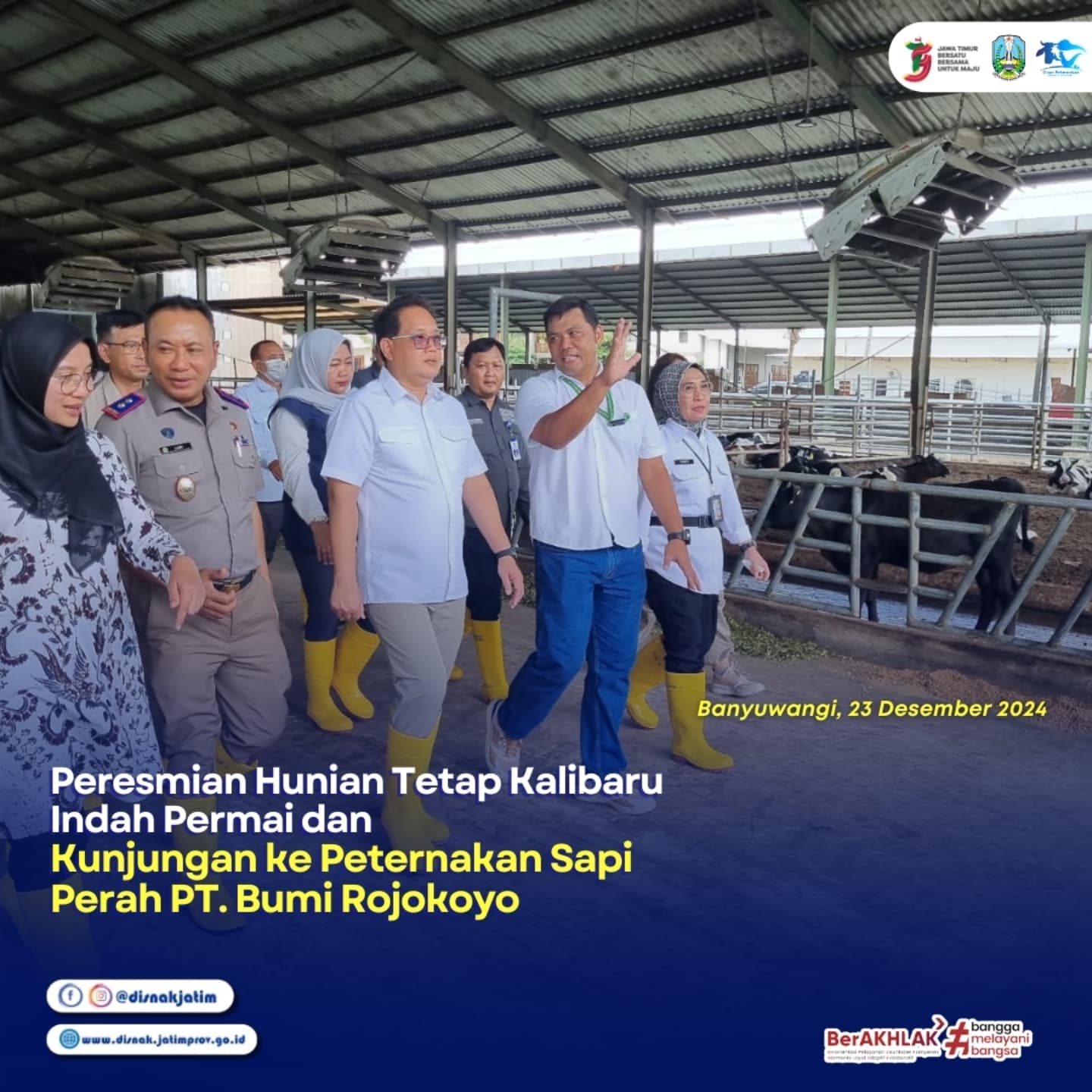 Peresmian Hunian Tetap Kalibaru Indah Permai dan Kunjungan ke Peternakan Sapi Perah PT. Bumi Rojokoyo