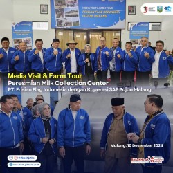 media visit des 2024