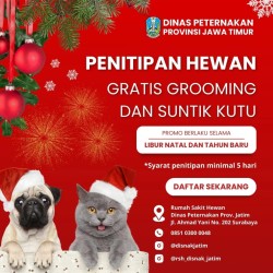 PENITIPAN HEWAN NATAL 2024