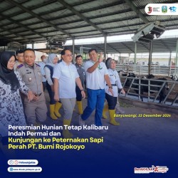 Peresmian Hunian Tetap Kalibaru Indah Permai dan Kunjungan ke Peternakan Sapi Perah PT. Bumi Rojokoyo