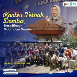 Kontes Ternak Domba Desa Binaan Sidomulyo Garahan Jember