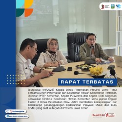 rapat terbatas jan 2025
