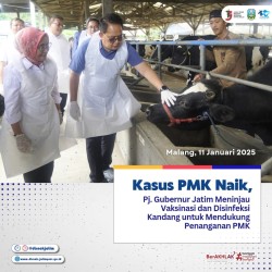 tinjau PMK Malang