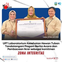 Zi lab tuban