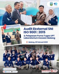 Audit iso