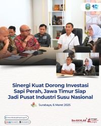 Inves saper 2025