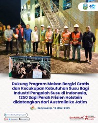 1250 sapi