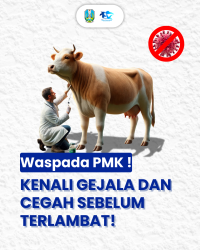 Carousel PMK