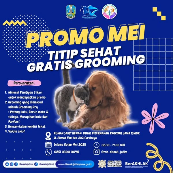 promo rsh mei 2025