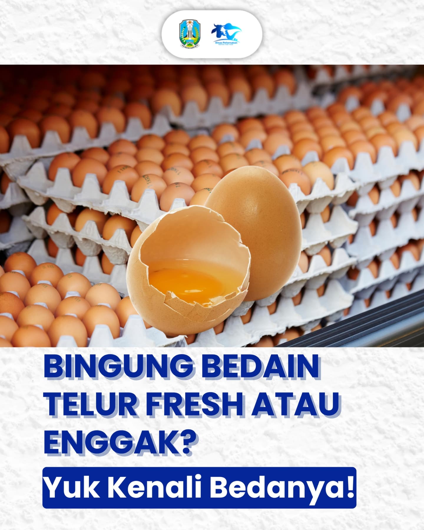 pilih telur